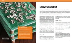 Calazo Kuivaa ruokaa| Kirjat Ja Kartat