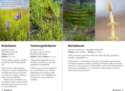 Calazo Vaeltajan tunturikasvio| Kirjat Ja Kartat