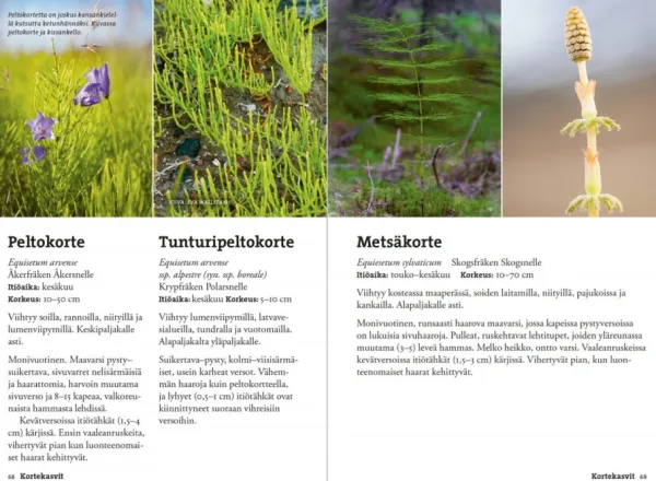 Calazo Vaeltajan tunturikasvio| Kirjat Ja Kartat