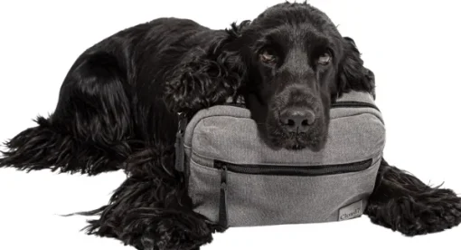 Cloud7 Koiranomistajan Tarvikkeet^Belt Bag vyölaukku, Green