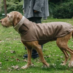 Cloud7 Talvitakit^Brooklyn Dog Coat koiran takki, Flannel Hazel, 6–10