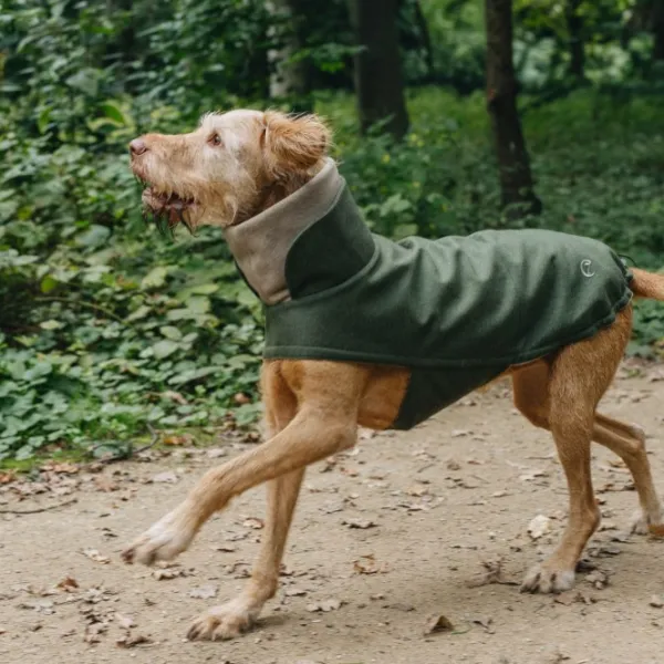 Cloud7 Brooklyn Dog Coat koiran takki, Flannel Fern Green, 6–10| Talvitakit
