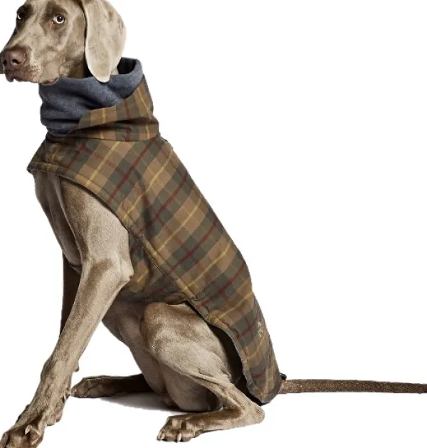 Cloud7 Talvitakit^Brooklyn Dog Coat Waxed Tartan koiran takki, koot 6-10, Tartan