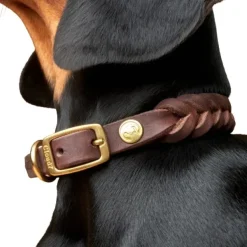 Cloud7 Kaulapannat^Collar Central Park nahkapanta, L-XXL, ruskea