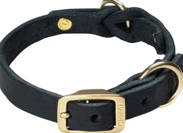Cloud7 Kaulapannat^Collar Riverside Park koiran kaulapanta, M, Black Gold