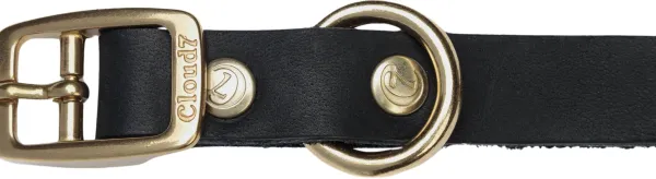 Cloud7 Kaulapannat^Collar Riverside Park koiran kaulapanta, M, Black Gold