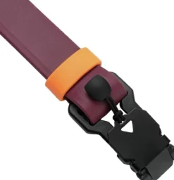 Cloud7 Kaulapannat^Dog Collar Ipanema kaulapanta, S-M, Magenta