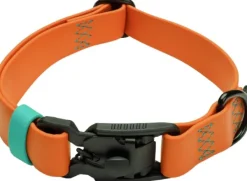 Cloud7 Kaulapannat^Dog Collar Ipanema kaulapanta, S-M, Orange