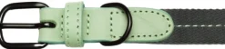 Cloud7 Taluttimet^Dog Collar Madeira kaulapanta, L-XL, Mint