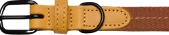 Cloud7 Dog Collar Madeira kaulapanta, XS-M, Ginger| Kaulapannat