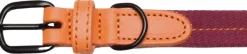 Cloud7 Dog Collar Madeira kaulapanta, XS-M, Papaya| Kaulapannat