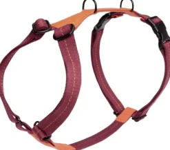 Cloud7 Harness Madeira valjaat, XL-XXL, Papaya| Valjaat