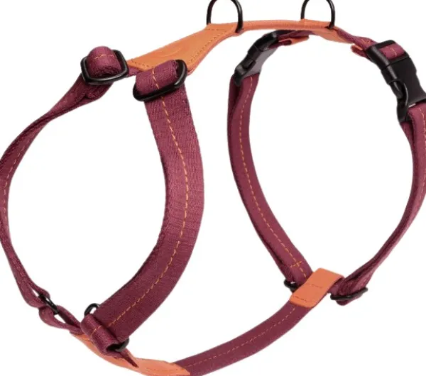 Cloud7 Harness Madeira valjaat, XL-XXL, Papaya| Valjaat