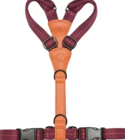 Cloud7 Harness Madeira valjaat, XL-XXL, Papaya| Valjaat