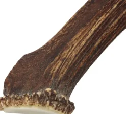 Cloud7 Puruluut^peuransarvi puruluu, L