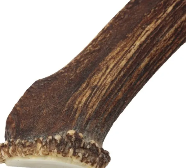 Cloud7 Puruluut^peuransarvi puruluu, L