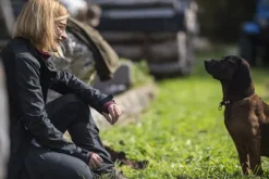 Deerhunter Koiranohjaajan Vaatteet^Lady Ann Jacket naisten ulkoilutakki, musta