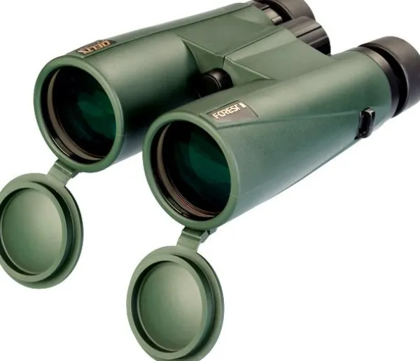 Delta Optical Delta Forest II 8.5x50| Katselukiikarit