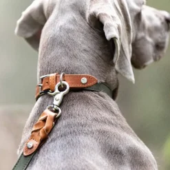 Denjo Dogs Signature talutin, L, Cognac/Khaki| Taluttimet