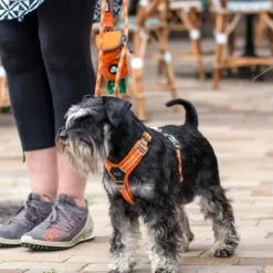 DOG Copenhagen Valjaat^Comfort Walk Air Harness koiran valjaat, XS, Hunting Green