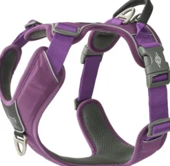 DOG Copenhagen Valjaat^Comfort Walk Pro Harness koiran valjaat, L-XL, Purple Passion