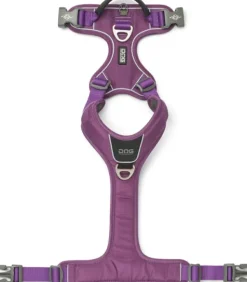 DOG Copenhagen Valjaat^Comfort Walk Pro Harness koiran valjaat, L-XL, Purple Passion