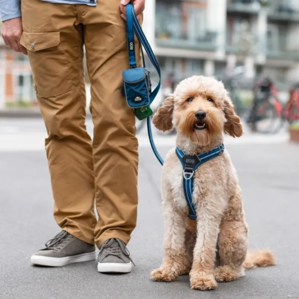 DOG Copenhagen Comfort Walk Air Harness koiran valjaat, S-M, Mocca| Valjaat