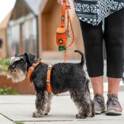 DOG Copenhagen Comfort Walk Air Harness koiran valjaat, XS, Mocca| Valjaat