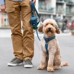 DOG Copenhagen Comfort Walk Air Harness koiran valjaat, S-M, Hunting Green| Valjaat