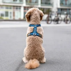 DOG Copenhagen Comfort Walk Air Harness koiran valjaat, S-M, Hunting Green| Valjaat