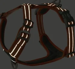 DOG Copenhagen Comfort Walk Air Harness Lemon XL| Valjaat