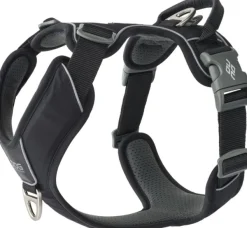 DOG Copenhagen Comfort Walk Pro Harness koiran valjaat, S-M, Black| Valjaat