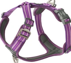 DOG Copenhagen Comfort Walk Air Harness koiran valjaat, XS, Purple Passion| Valjaat