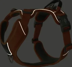 DOG Copenhagen Valjaat^Comfort Walk Pro Harness Desert Dune XL