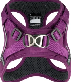 DOG Copenhagen Comfort Walk Go Harness koiran valjaat, M, Purple Passion| Valjaat