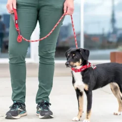 DOG Copenhagen Flexy Poop Bag Holder Desert Dune| Koirankakkapussit