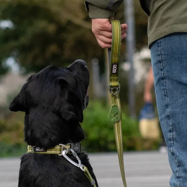 DOG Copenhagen Flexy Poop Bag Holder koirankakkapussin pidike, Black| Koirankakkapussit