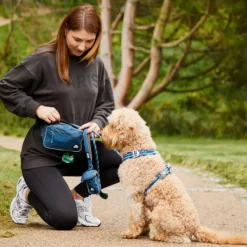 DOG Copenhagen Go Explore Belt Bag vyölaukku, Black| Koiranomistajan Tarvikkeet