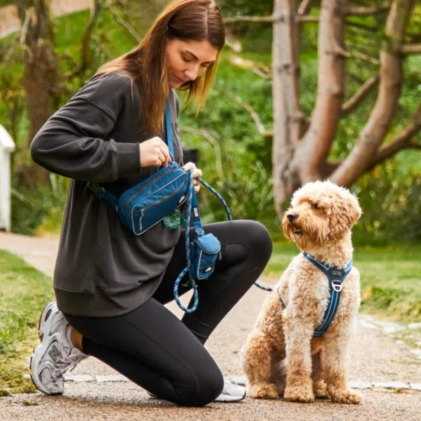 DOG Copenhagen Makupalapussit^Go Explore Belt Bag Desert Dune