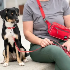 DOG Copenhagen Makupalapussit^Go Explore Belt Bag Desert Dune