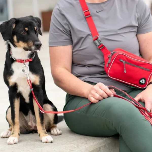 DOG Copenhagen Makupalapussit^Go Explore Belt Bag Desert Dune