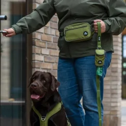 DOG Copenhagen Makupalapussit^Go Explore Belt Bag Desert Dune