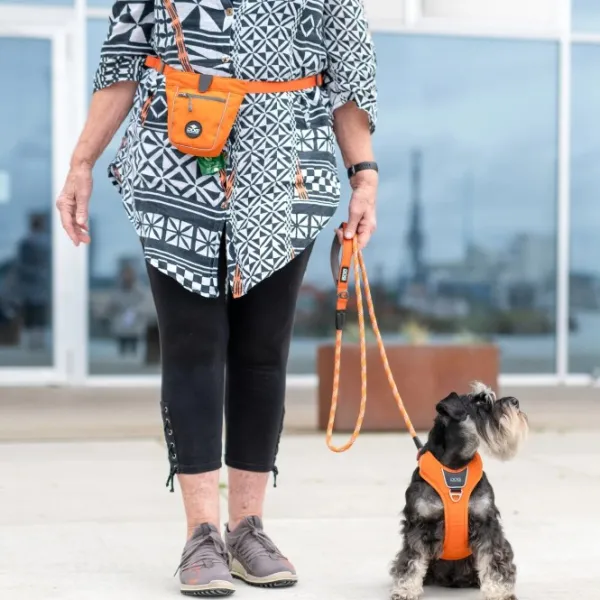 DOG Copenhagen Go Explore Treat Bag Lemon| Makupalapussit