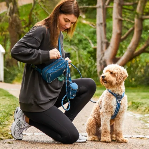 DOG Copenhagen Koiranomistajan Tarvikkeet^Go Explore Belt Bag vyölaukku, Orange Sun