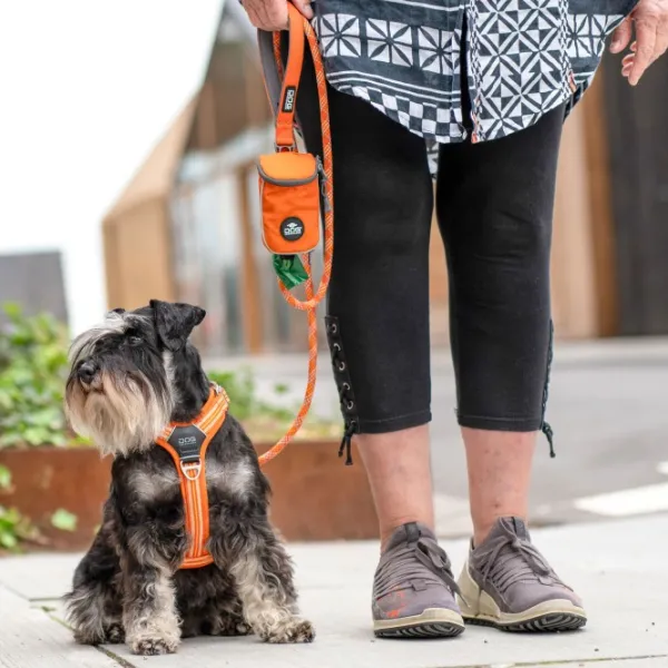 DOG Copenhagen Pouch Organizer Leash Bag tarvikelaukku talutushihnaan, Purple Passion| Koiranomistajan Tarvikkeet