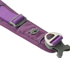 DOG Copenhagen Kaulapannat^Urban Explorer Collar kaulapanta, Purple Passion
