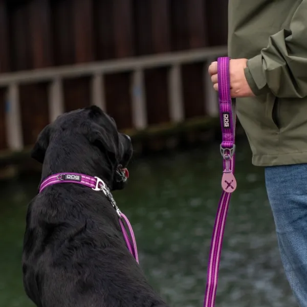 DOG Copenhagen Taluttimet^Urban Freestyle Leash talutushihna, Orange Sun