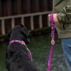 DOG Copenhagen Taluttimet^Urban Freestyle Leash talutushihna, Black