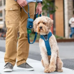DOG Copenhagen Taluttimet^Urban Trail Leash Desert Dune