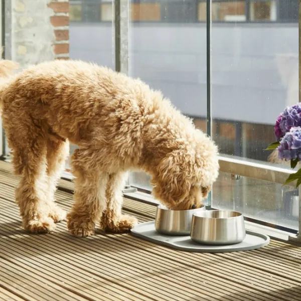 DOG Copenhagen Koirankupit^Vega Bowl koirankuppi, S/M, Steel